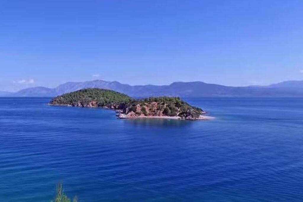 Villa Sul Mare Chalkís المظهر الخارجي الصورة
