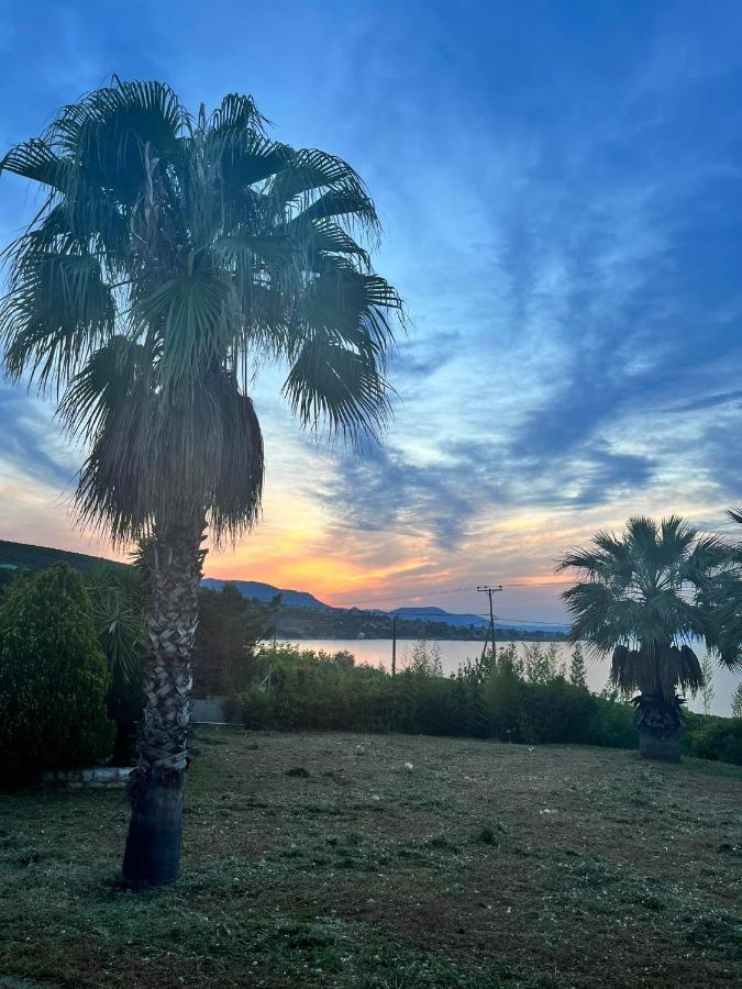 Villa Sul Mare Chalkís المظهر الخارجي الصورة