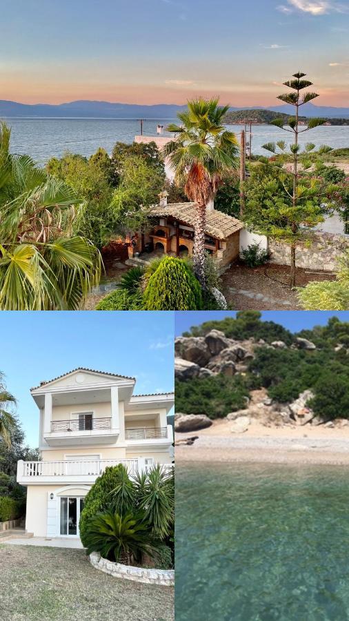 Villa Sul Mare Chalkís المظهر الخارجي الصورة